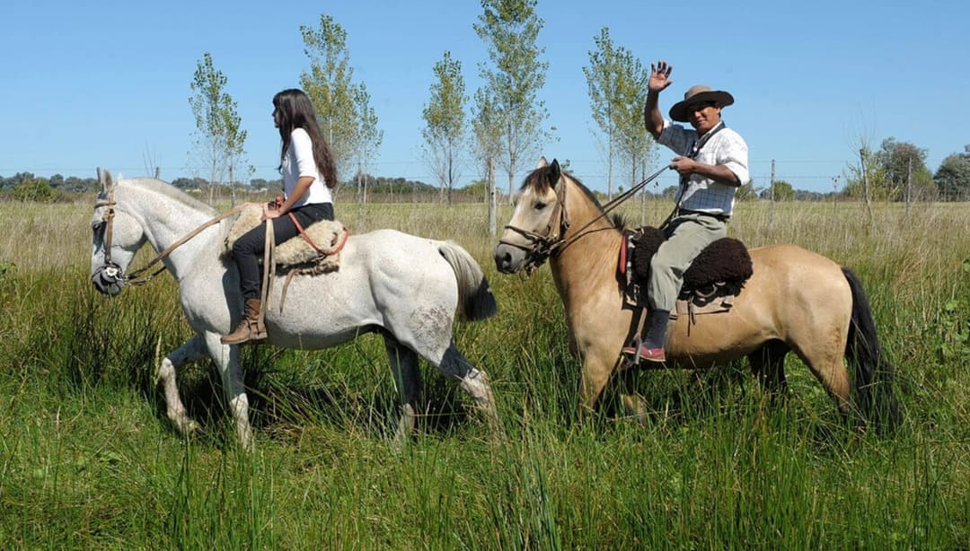 DÍA DE CAMPO